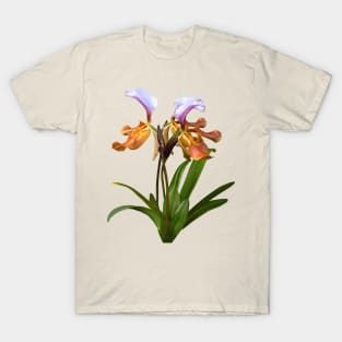 Paphiopedilum Orchids Intertwined T-Shirt